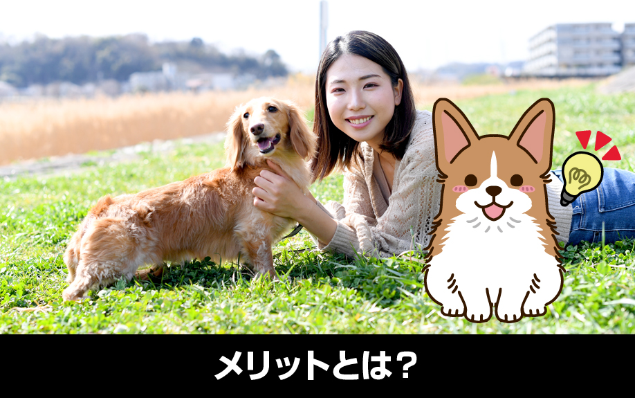 不動産投資用物件をペット可にするメリットとは？