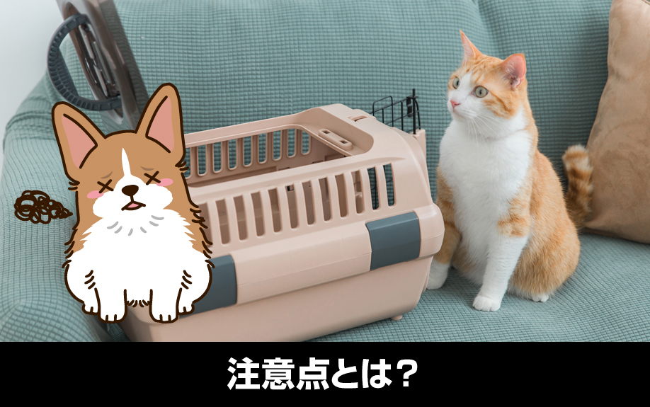 不動産投資用物件をペット可にする注意点とは？