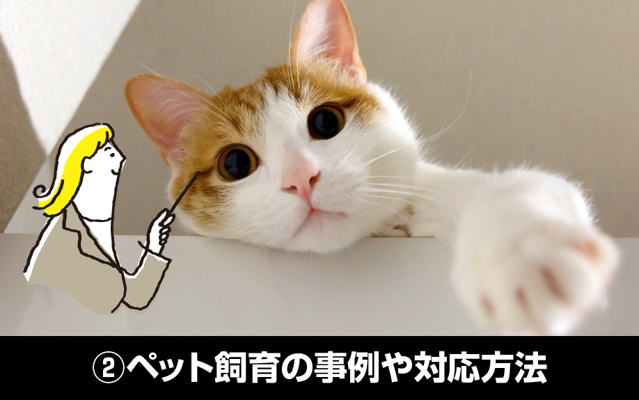 自主管理でよくあるトラブル②ペット飼育の事例や対応方法